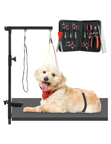 Kit de Acicalamiento para Perros Innovaciones Modernas 12 Piezas