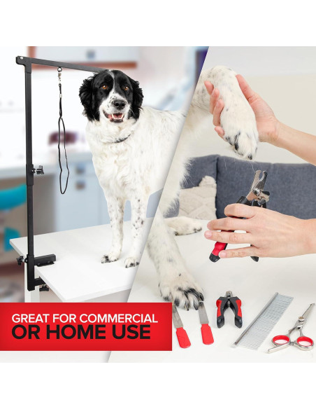 Kit de Acicalamiento para Perros Innovaciones Modernas 12 Piezas