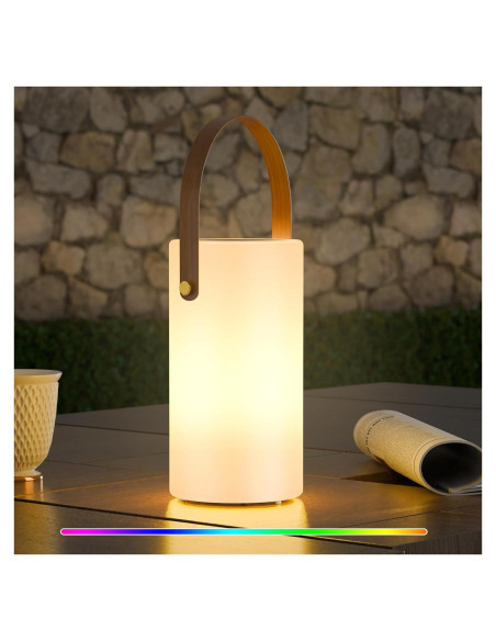 Lámpara de Mesa Solar uuffoo PBG-1427 LED Recargable IP44