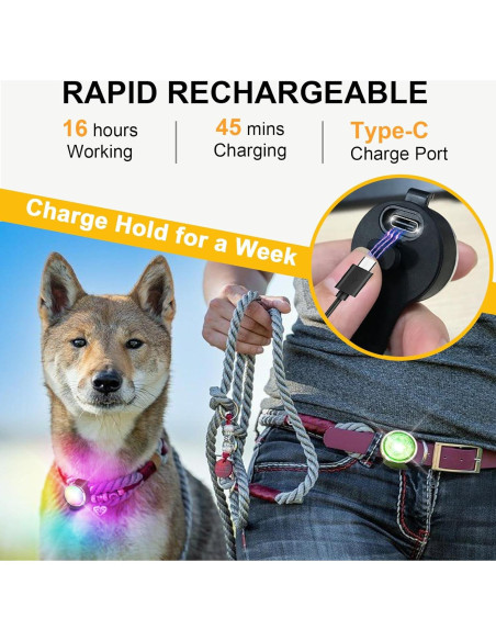 Collar LED para Perros Tubasion Recargable IPX6 8 Modos