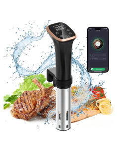 Cocedor Sous Vide BLITZHOME IPX7 1100W Control APP 12L