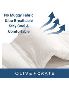 Edredón Reina Oliva + Caja 100% Viscosa de Bambú Hipoalergénico 2