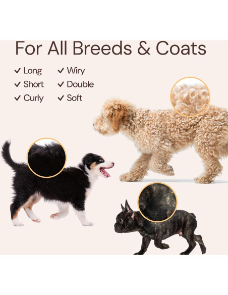 Kit de Baño para Perros Sunny & Honey - Champú Coco 473ml y Perfume Brisa 236ml