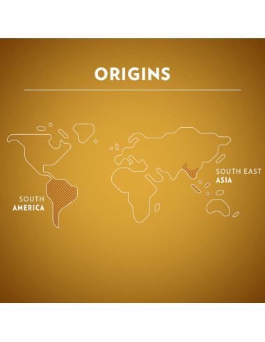 Cápsulas de Café Lavazza Avvolgente Lungo 60 Unidades Nespresso