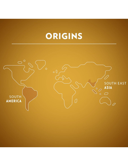 Cápsulas de Café Lavazza Avvolgente Lungo 60 Unidades Nespresso