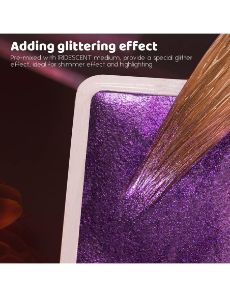 Set de 24 Pinturas Acuareladas Brillantes Paul Rubens