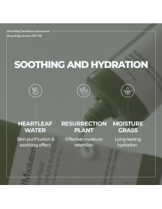 Protector Solar JMsolution Heart Leaf SPF 50 - Piel Sensible 2