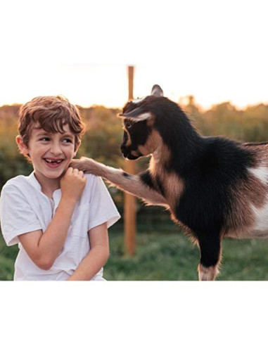 Jabón de Leche de Cabra Caprina Fresh Menta Eucalipto 3 Pzas