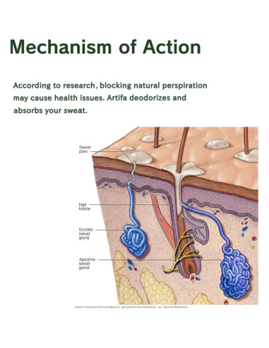 Desodorante Natural Life Pharma 75 g Probióticos Coco Karité