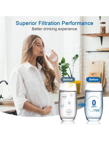 Filtro de Agua Brita WSKFDTI, Paquete de 6, Reduce Cloro y Sabor