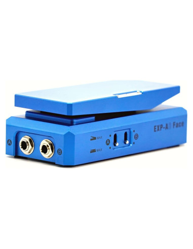 Pedal de Expresión Doble Canal PaintAudio EXP-AB 25K