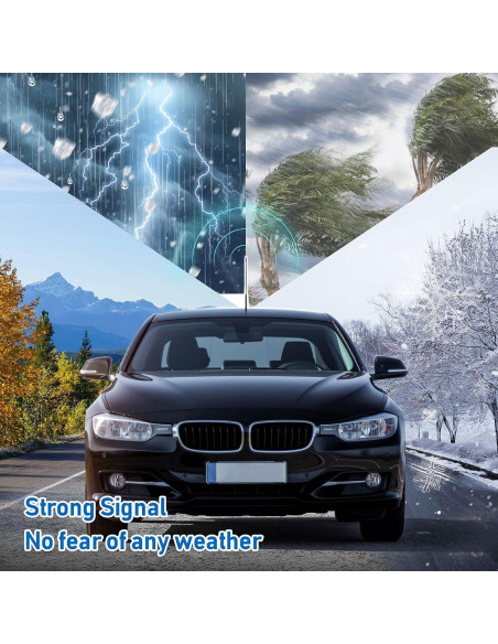 Antena de Coche Eightwood 40.64 cm Montaje en Techo