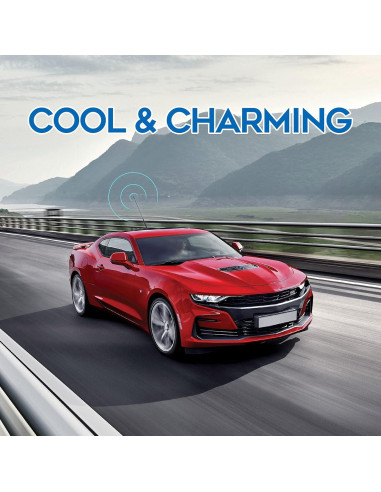 Antena de Coche Eightwood 40.64 cm Montaje en Techo