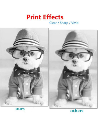 Cartucho de Tóner Negro MitoColor TN-221 Compatible 2 Paquetes