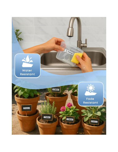 Cinta de Etiqueta Laminada COLORWING TZe-231 12mm 6-Pack