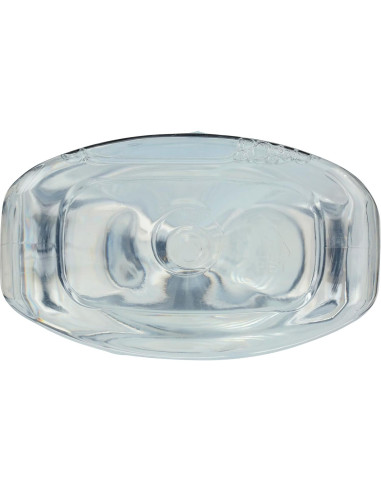 Limpiador de Ventanas Amigable con la Tierra 650 ml Vinagre