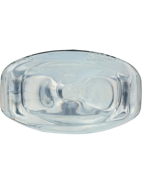 Limpiador de Ventanas Amigable con la Tierra 650 ml Vinagre