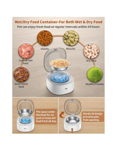 Comedero Automático WellToBe 4L para Gatos y Perros 2