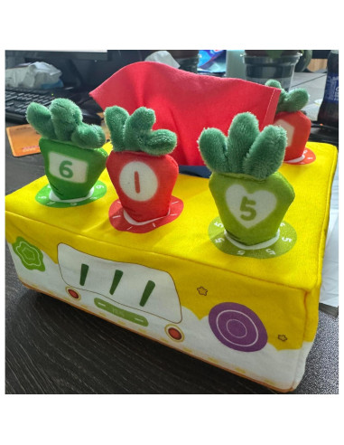 Juguetes Montessori para Bebés 6-12 Meses - Caja de Actividad