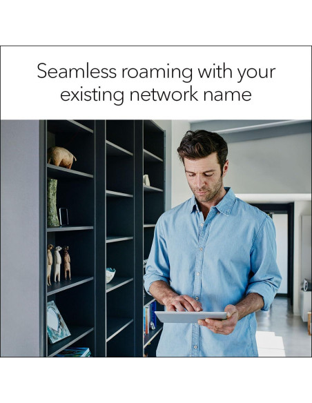 Extensor de Rango WiFi Mesh NETGEAR EX6250 Doble Banda AC1750
