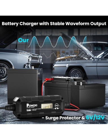 Cargador Mantenedor de Batería POWOXI 6A 6V/12V Inteligente