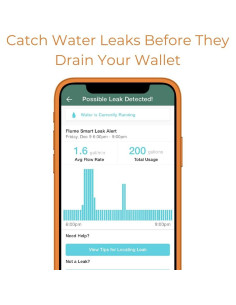 Monitor de Agua Inteligente Flume F2000 - Detección de Fugas y Ahorro 2