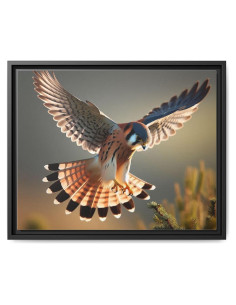 Lienzo Cernícalo Americano con Marco de Madera 50.8x40.6 cm
