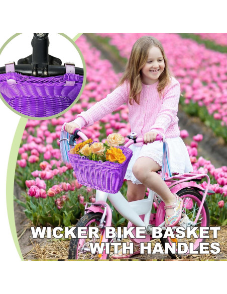 Cesta de Picnic Plegable Morada RainFlower 24.9x18.5x16 cm