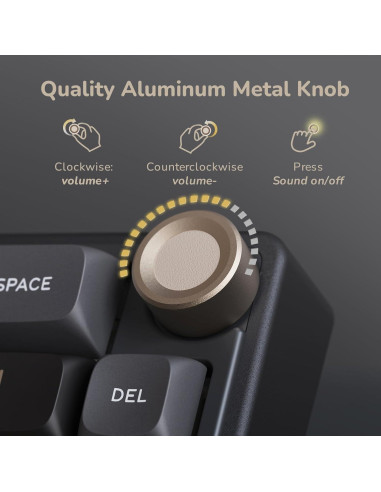 Teclado Mecánico RK Royal Kludge R65 RGB 60% PBT Negro