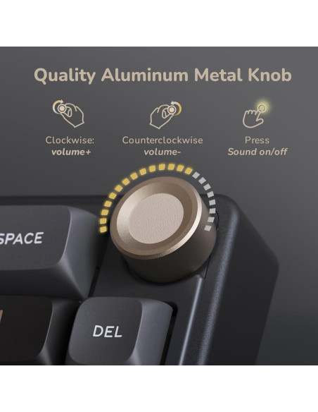 Teclado Mecánico RK Royal Kludge R65 RGB 60% PBT Negro