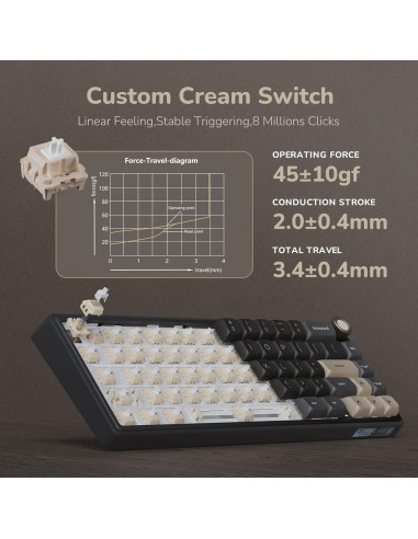 Teclado Mecánico RK Royal Kludge R65 RGB 60% PBT Negro