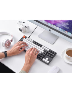 Teclado Mecánico Keychron C1 TKL USB-C 87 Teclas Retroiluminado 2
