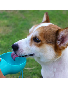Botella de Agua Portátil para Perros CAVA HEAT LAKE 300ml Azul 2