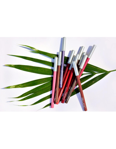 Lápiz de Contorno de Labios Palladio Especias 15.24cm