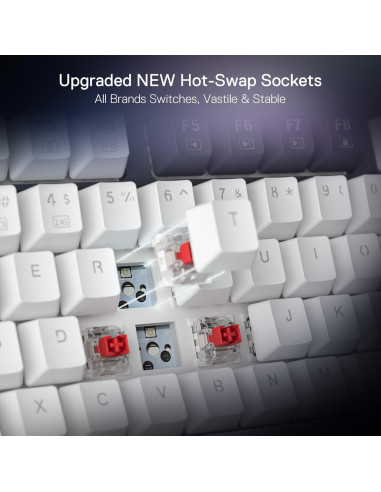 Teclado Mecánico Redragon K673 PRO Inalámbrico RGB 81 Teclas