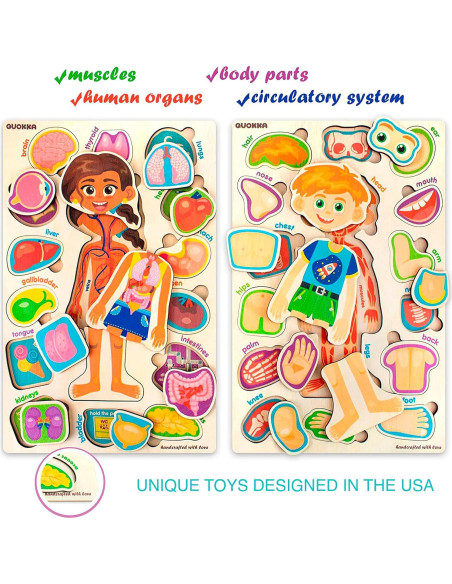 Puzzle Educativo Quokka Cuerpo Humano 37x25cm 3-5 Años