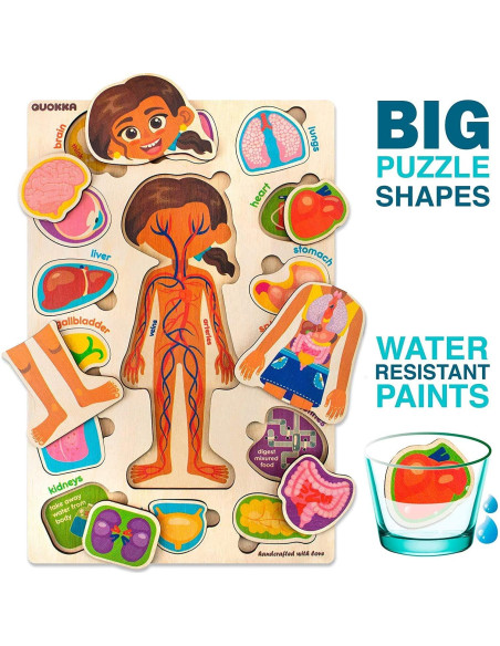 Puzzle Educativo Quokka Cuerpo Humano 37x25cm 3-5 Años