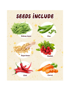 Kit de Jardinería STEM Plantas y Raíces para Niños 4-10 años 2