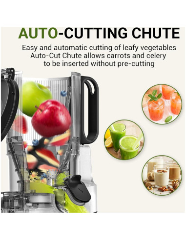 Exprimidor AMZCHEF SJ-036 Automático 1.8L 250W Negro