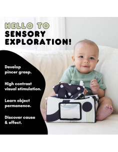 REMZO Juguete Caja de Pañuelos 3-en-1 para Bebés - 10 Pañuelos 2