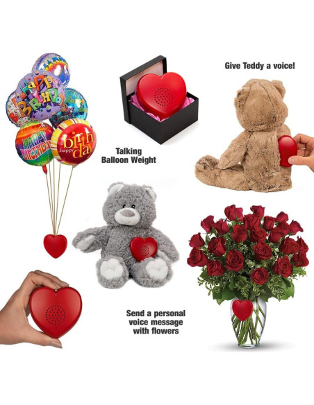 Grabador de Voz Corazón Hablante 2 Minutos - Rojo