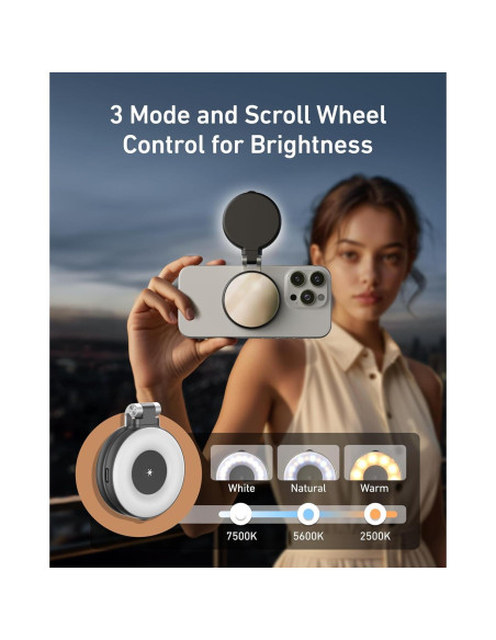 Luz de Belleza Selfie TELESIN Magnética 360 CRI97 Negra