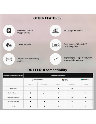Controlador DJ Pioneer DDJ-FLX2 Compacto 2 Canales con Estuche