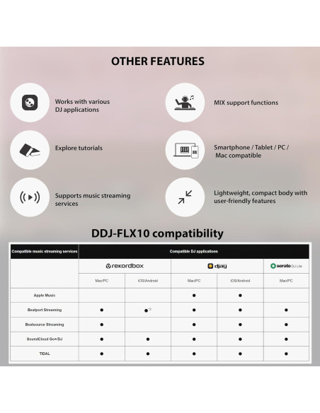 Controlador DJ Pioneer DDJ-FLX2 Compacto 2 Canales con Estuche
