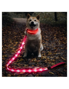 Correa para Perros Illumifun LED Rosa 1 - Recargable USB, Nylon