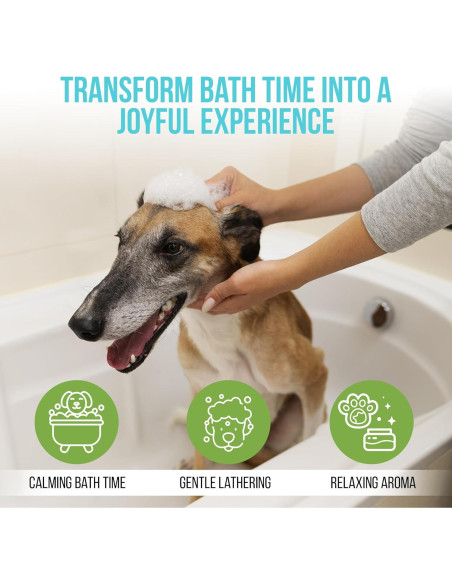 Champú Hipoalergénico Only Natural Pet con Aloe y Avena 478 ml Champú Hipoalergénico Only Natural Pet con Aloe y Avena 478 ml