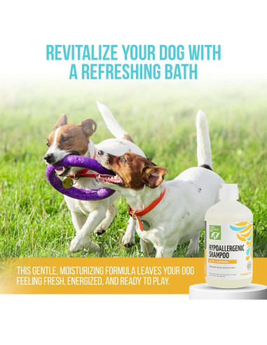 Champú Hipoalergénico Only Natural Pet con Aloe y Avena 478 ml