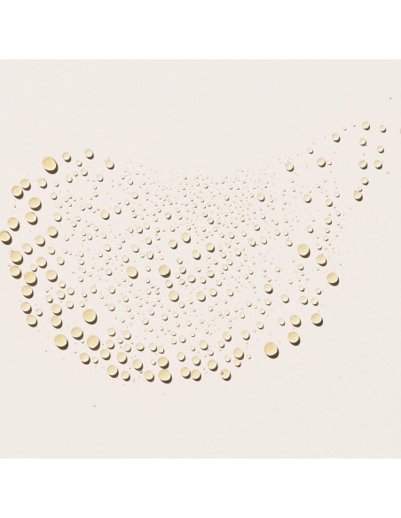 Acondicionador Sin Enjuague Carol's Daughter Black Vanilla 236ml Acondicionador Sin Enjuague Carol's Daughter Black Vanilla 236ml