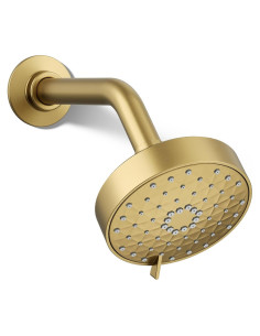 Cabezal de Ducha Multifuncional Kohler Awaken G110 9.5 lpm