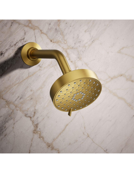 Cabezal de Ducha Multifuncional Kohler Awaken G110 9.5 lpm